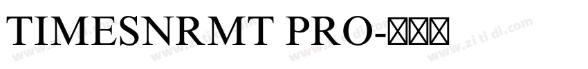 TIMESNRMT PRO字体转换